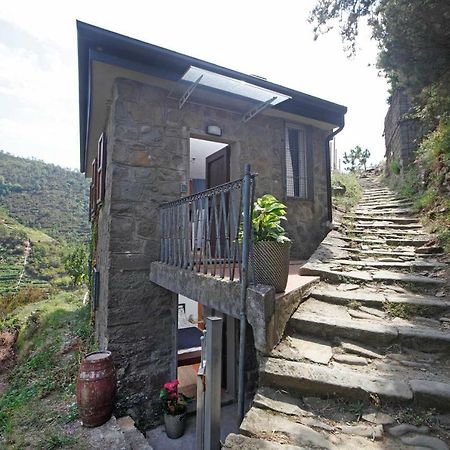 Fiesse Cottage Manarola Extérieur photo