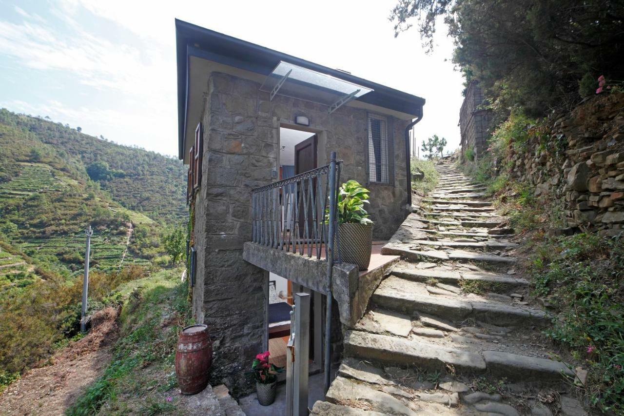 Fiesse Cottage Manarola Extérieur photo